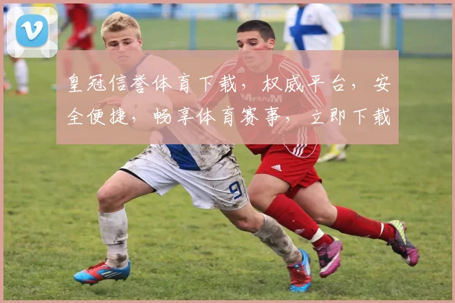 皇冠信誉体育下载，权威平台，安全便捷，畅享体育赛事，立即下载体验