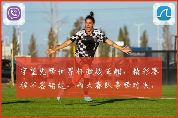 守望先锋世界杯激战正酣，精彩赛程不容错过，两大赛队争锋对决，精彩纷呈