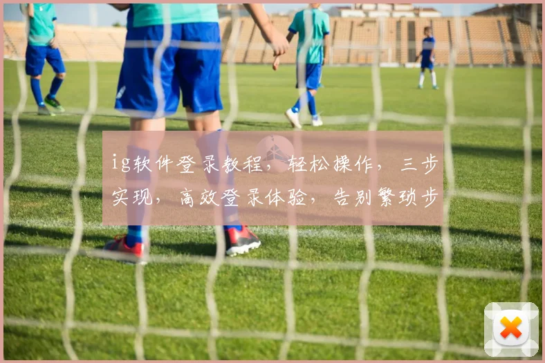 ig软件登录教程，轻松操作，三步实现，高效登录体验，告别繁琐步骤