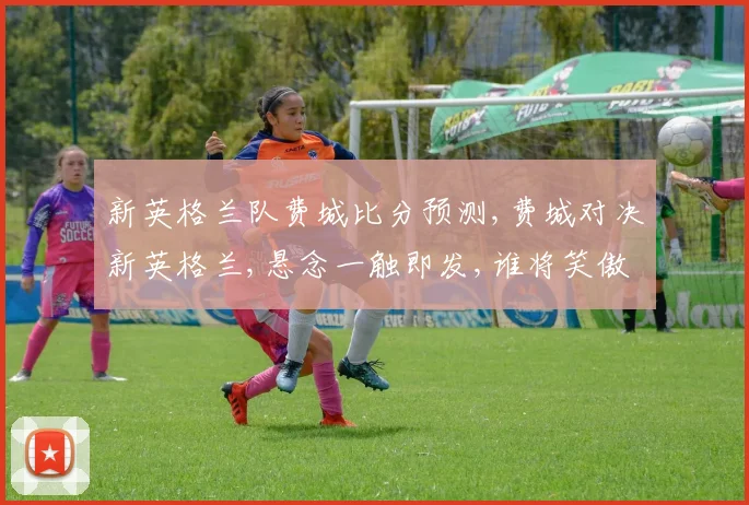 新英格兰队费城比分预测,费城对决新英格兰,悬念一触即发,谁将笑傲江湖